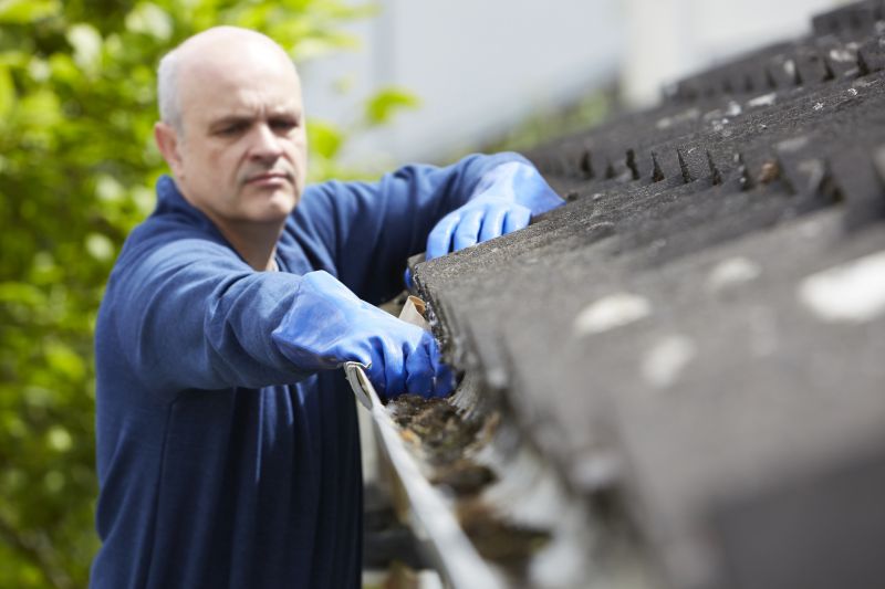 Professional Gutter Cleaning